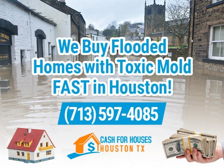 houston water damage and mold